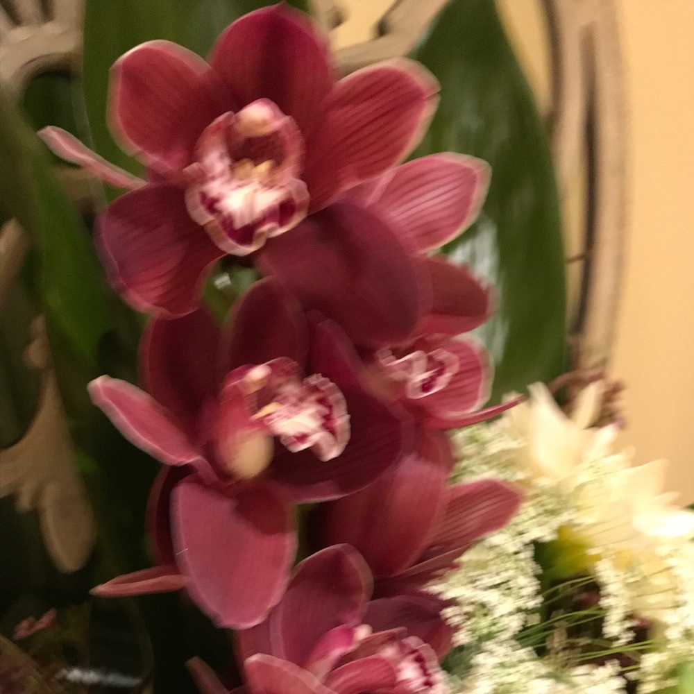 All offers are welcomed! Looking to unload😀